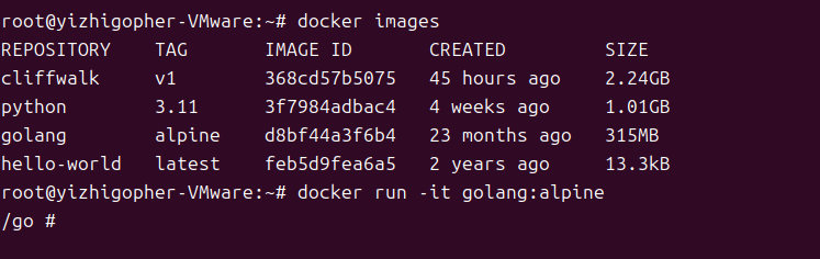 ./docker-run.png